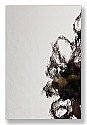 Triple Glas gelaagd 33.1* - sp - duits kathedraal 4mm - sp2 - Gelaagd 33.1*
