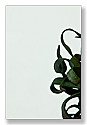 Hardglas 4mm groen