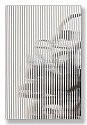 Hardglas Ribglas grof blank 4mm